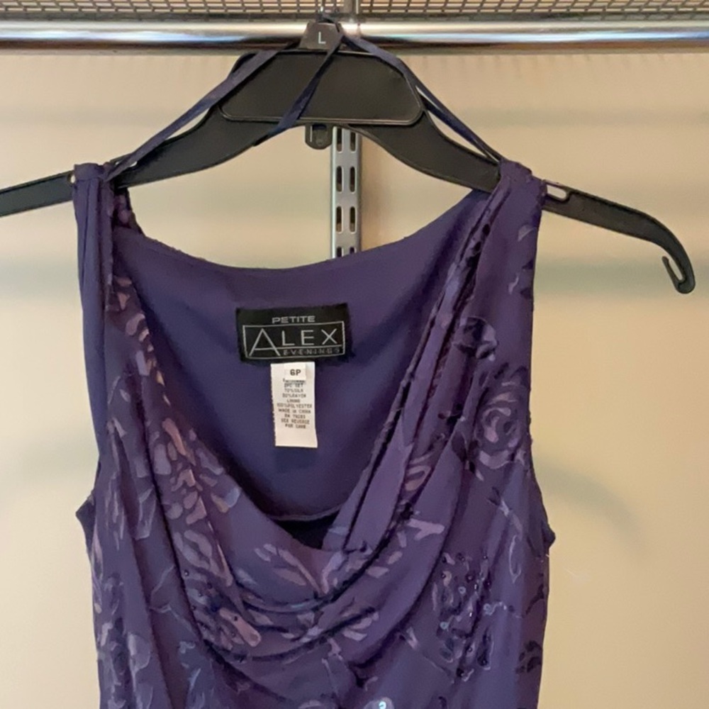 Special Occasion Dress by Alex Evening Petites - Picture 2 of 9